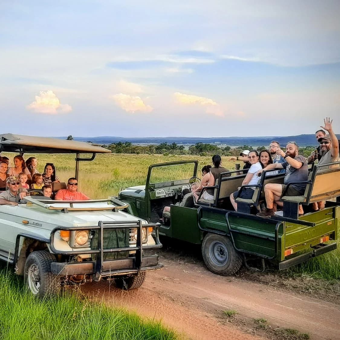 Game Viewing