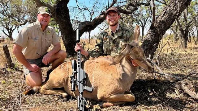 Livingstone Eland Bull: Lord of the Bushveld