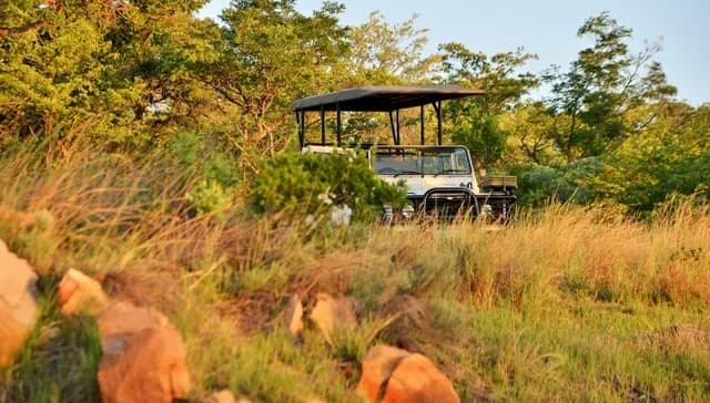 Remote Bush Concession Access & Rugged 4x4 Expedition Cruiser