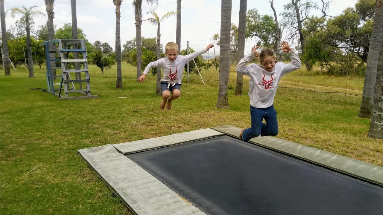 Family-Friendly Experiences