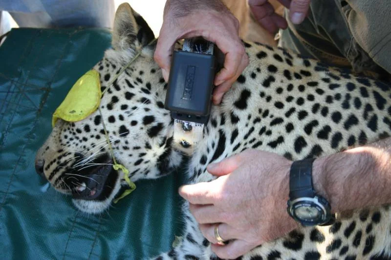 Hardware Engineering · Waterproof Collar Housing